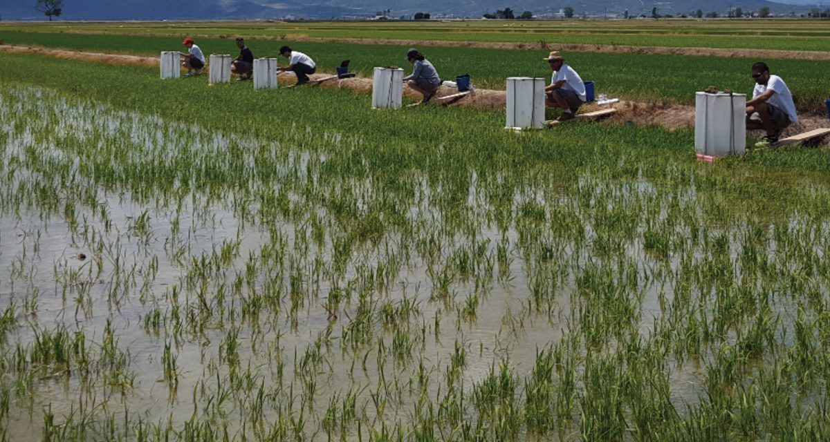 Comprometidos con la agricultura sostenible