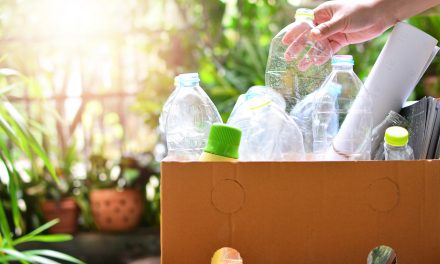 ¿Cómo evitar generar tantos residuos en casa?
