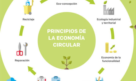 ¿Qué es la economía circular?