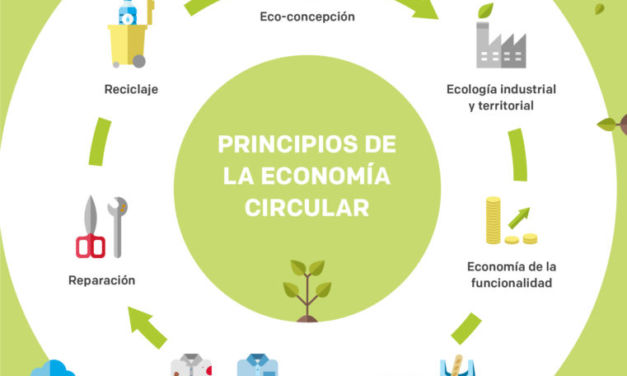 ¿Qué es la economía circular?