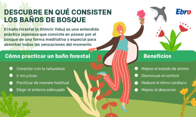 Descubre en qué consisten los baños de bosque