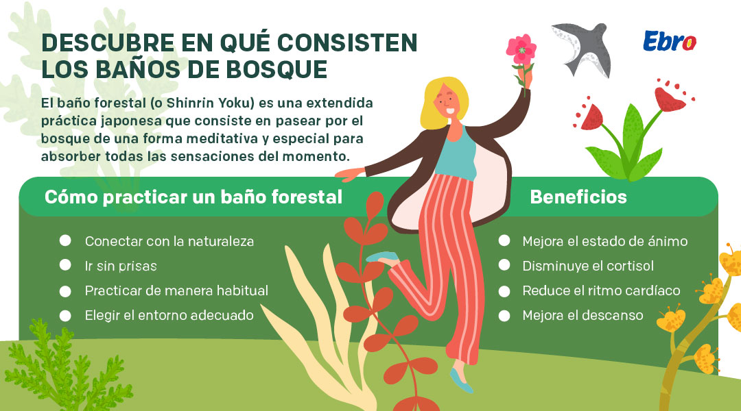 Descubre en qué consisten los baños de bosque