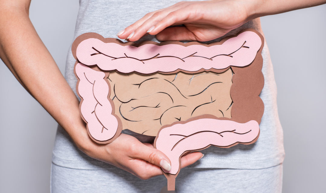 El intestino, ¿es nuestro segundo cerebro?