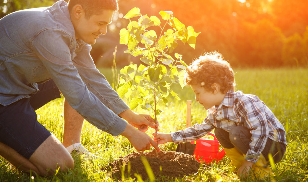 Cómo acercar la sostenibilidad a nuestros hijos