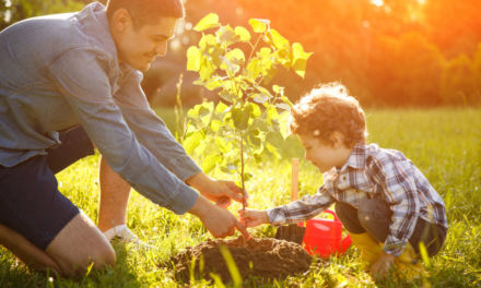 Cómo acercar la sostenibilidad a nuestros hijos