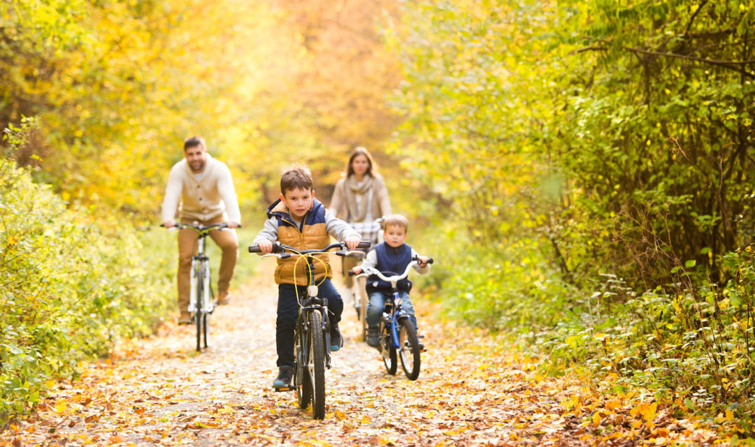 ¡Otoño! Actividades en familia