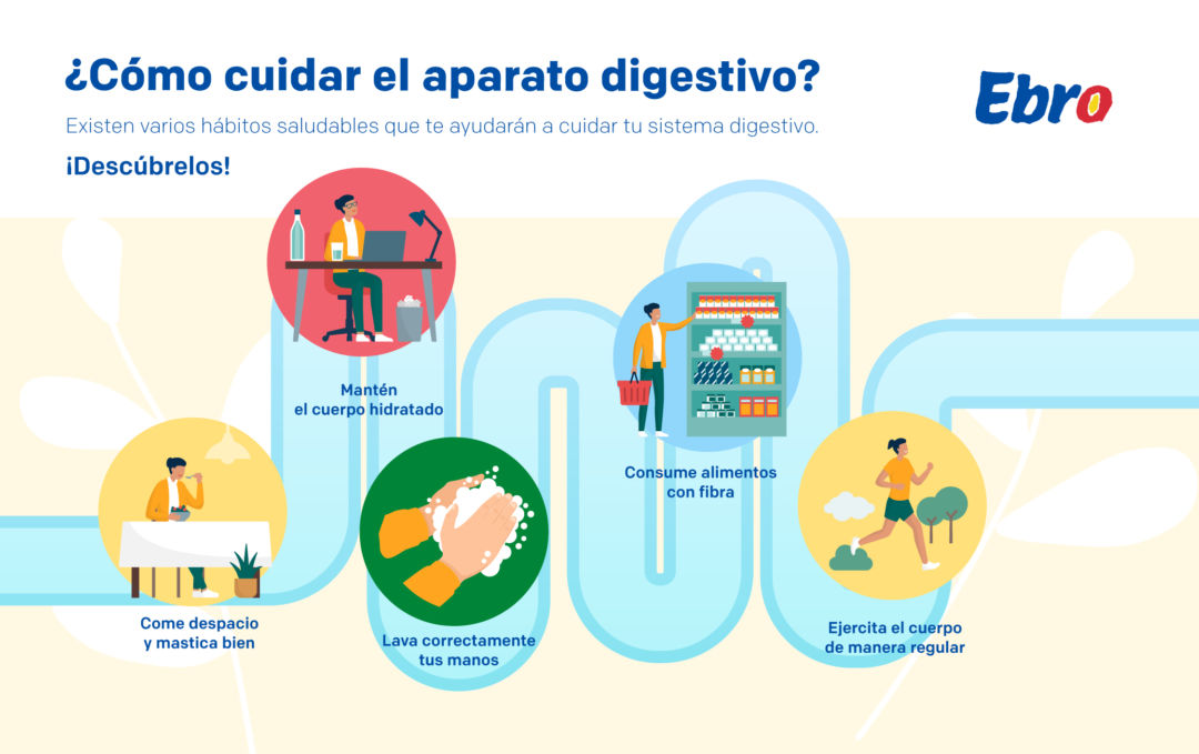 mayo aparato digestivo 2