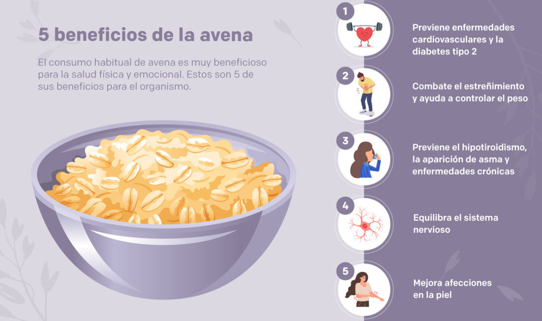 Propiedades y beneficios de la avena