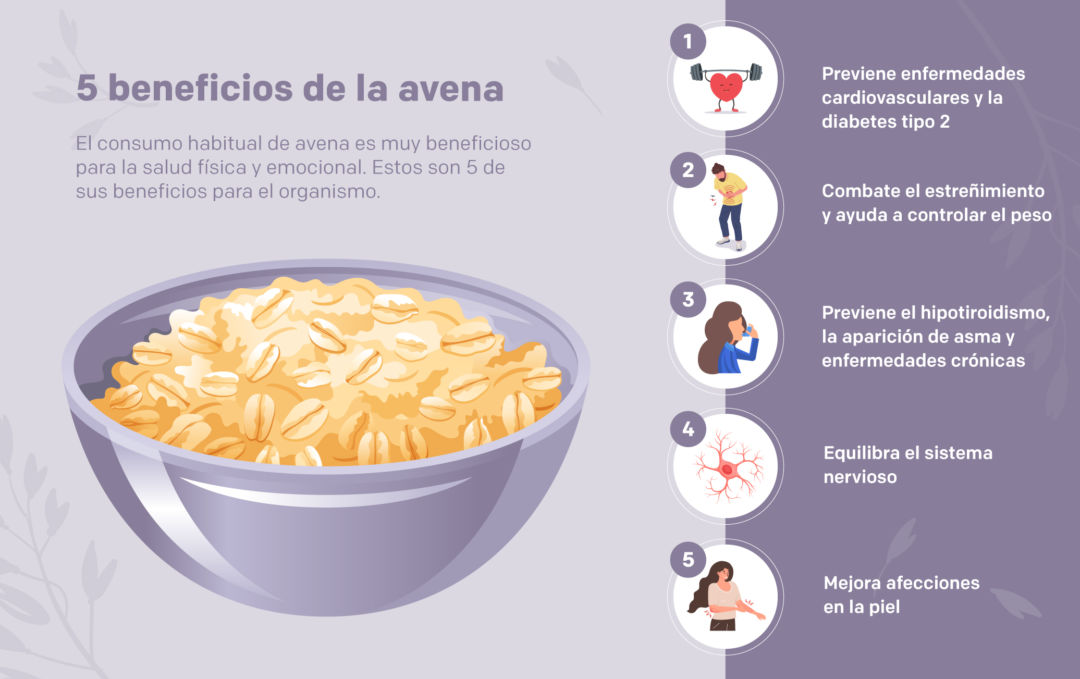 Propiedades y beneficios de la avena Sentirse bien se nota