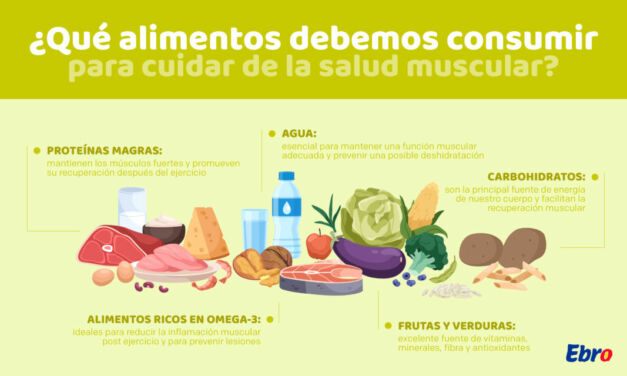 Alimentos para cuidar tu salud muscular