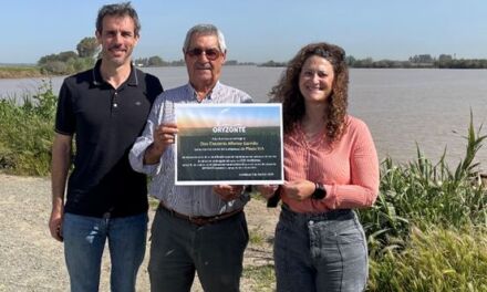 Proyecto ORYZONTE: los arroceros sevillanos logran reducir más de 2000 t de emisiones GEI en 2024