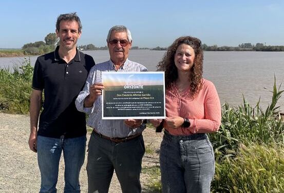 Proyecto ORYZONTE: los arroceros sevillanos logran reducir más de 2000 t de emisiones GEI en 2024